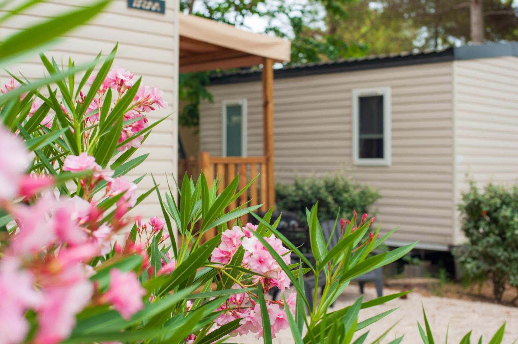 Camping Les Jardins D Agathe Le Grau-dʼAgde Exteriör bild