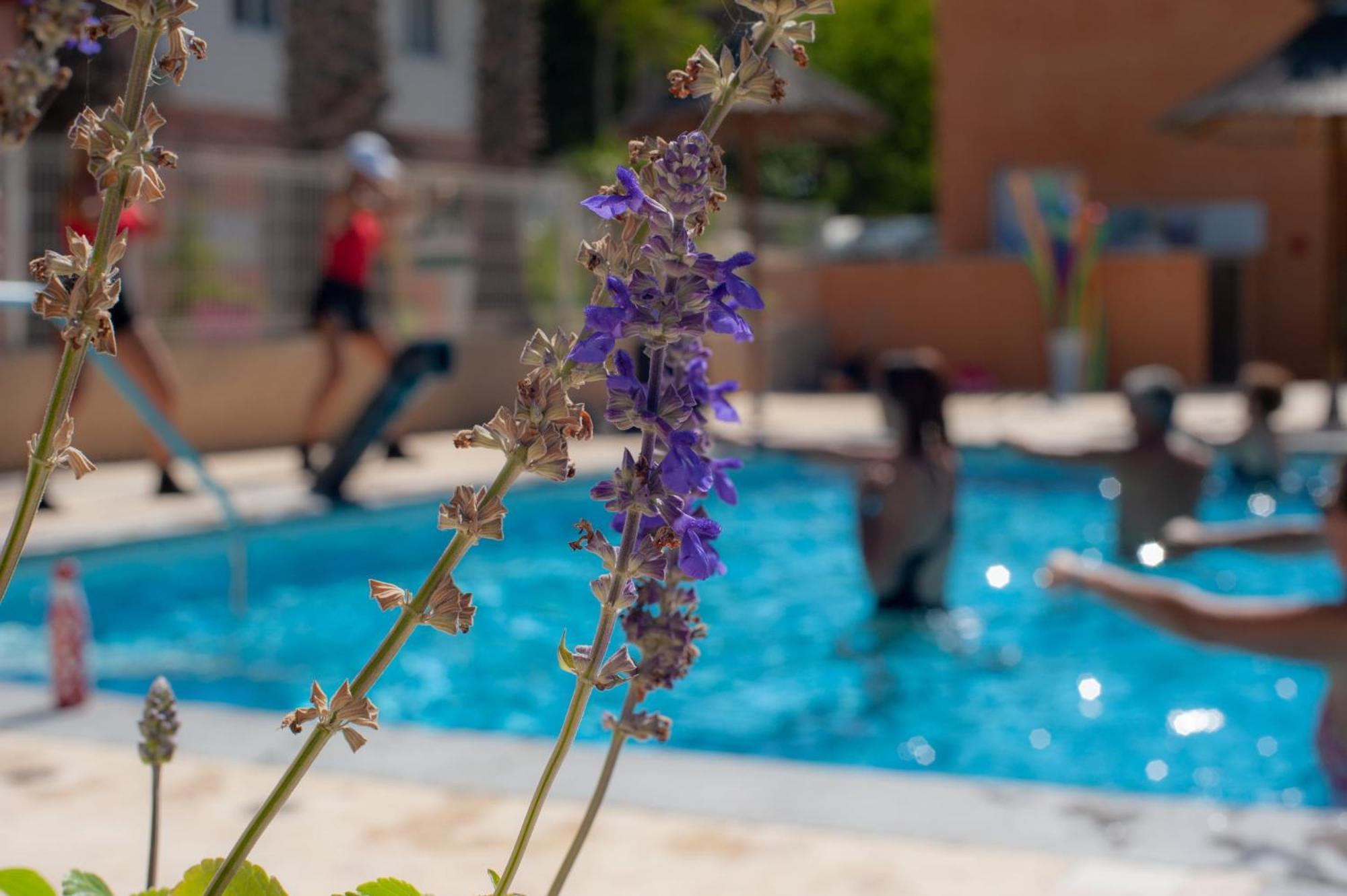 Camping Les Jardins D Agathe Le Grau-dʼAgde Exteriör bild