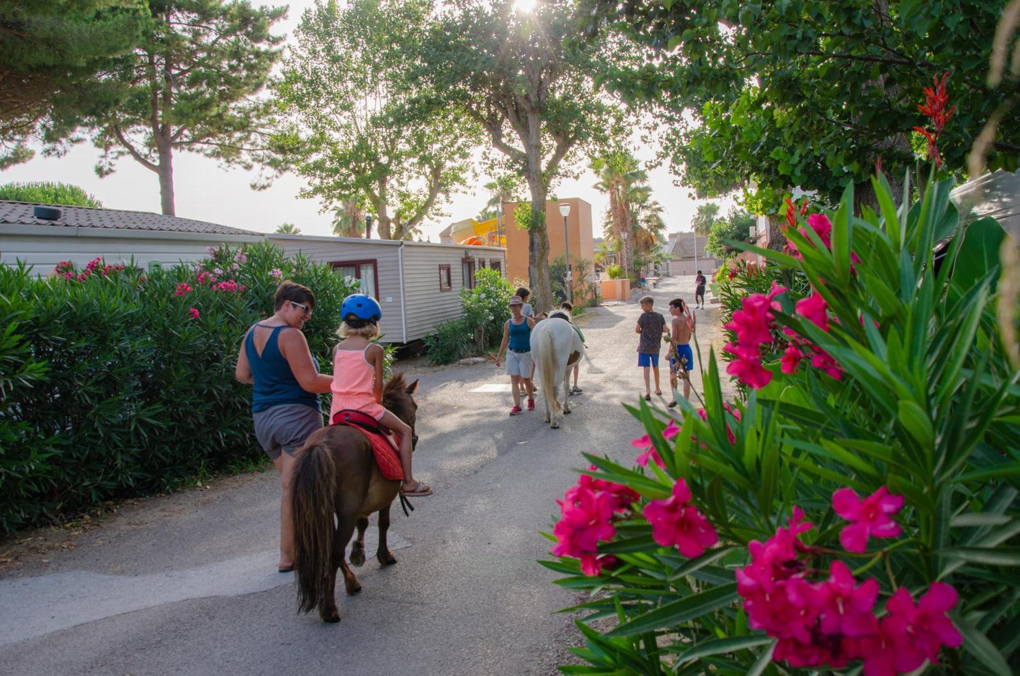 Camping Les Jardins D Agathe Le Grau-dʼAgde Exteriör bild